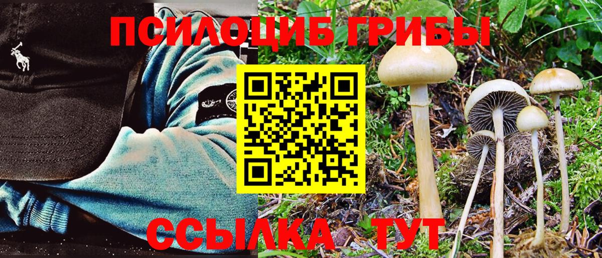 Пыть-Ях  Псилоцибиновые грибы Magic Shrooms  Вход с VPN  Галлюциногенные грибы Psilocybine cubensis 